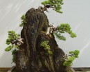 Hòn non bộ mini - mẫu tham khảo 43